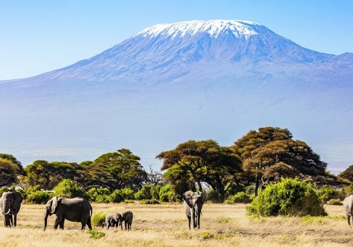 Climb Mount Kilimanjaro — summit sign at Uhuru Peak with glaciers