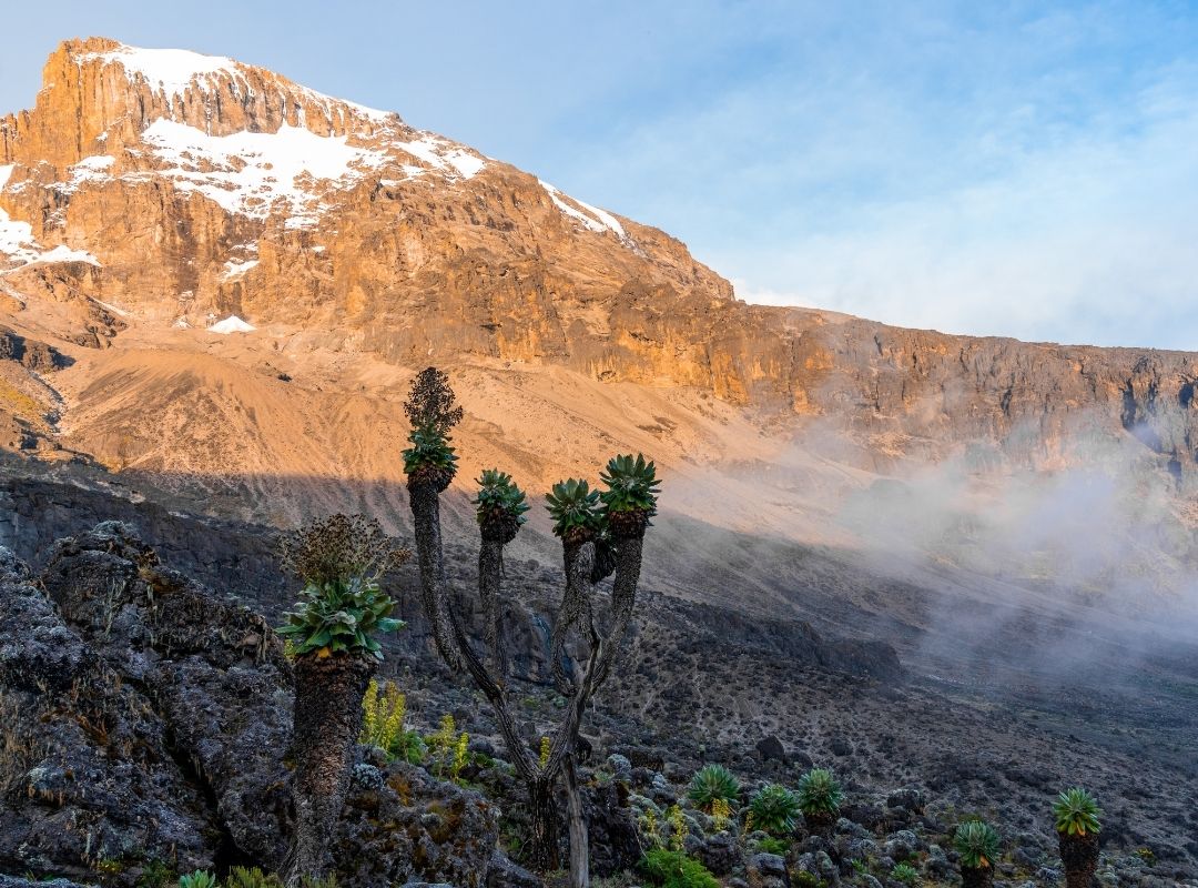 Home emporium climb kilimanjaro (2)