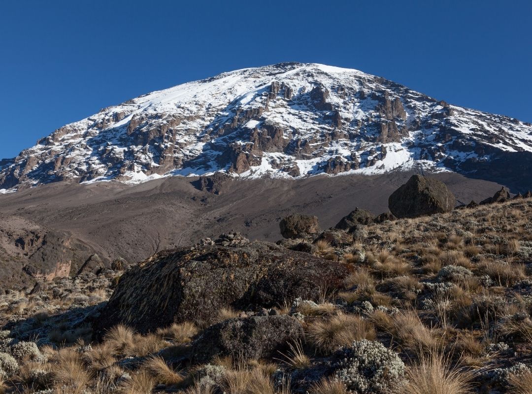 Home emporium climb kilimanjaro (3)