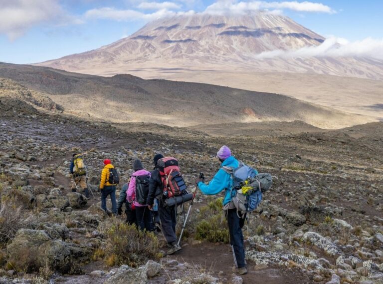 Home emporium climb kilimanjaro (4)