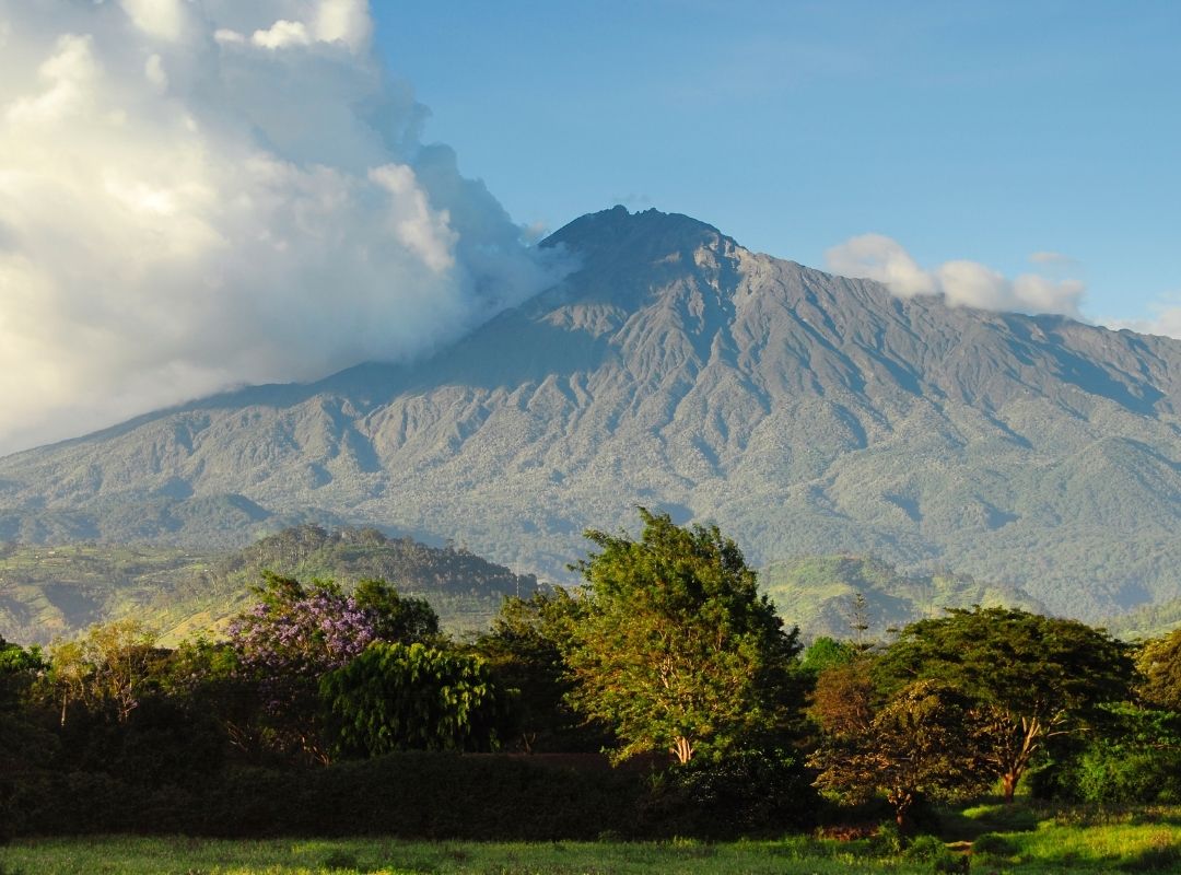 global emporium safaris meru