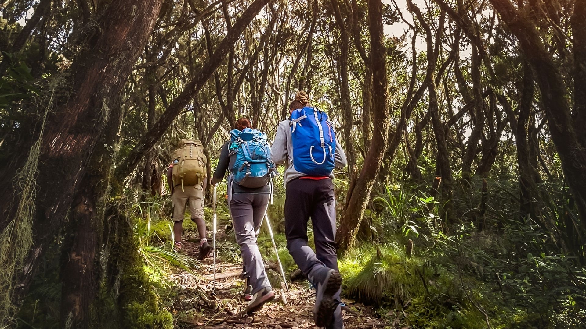 Home Trekking mountainscape