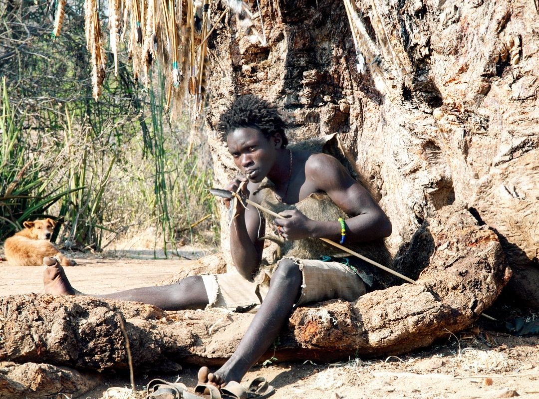 Tanzania Safaris global emporium safaris