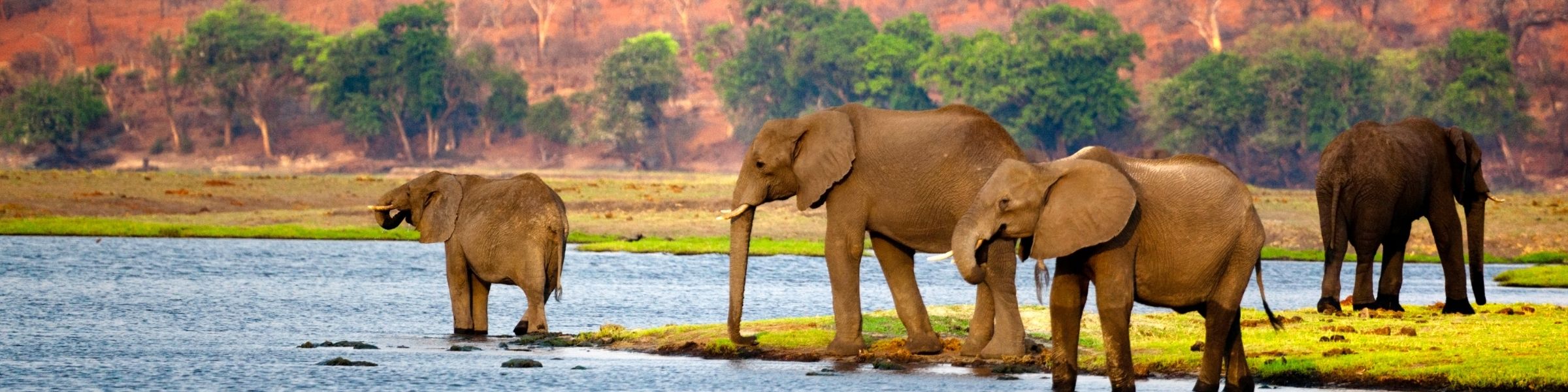 Home Elephants at sunset – Global Emporium & Safaris